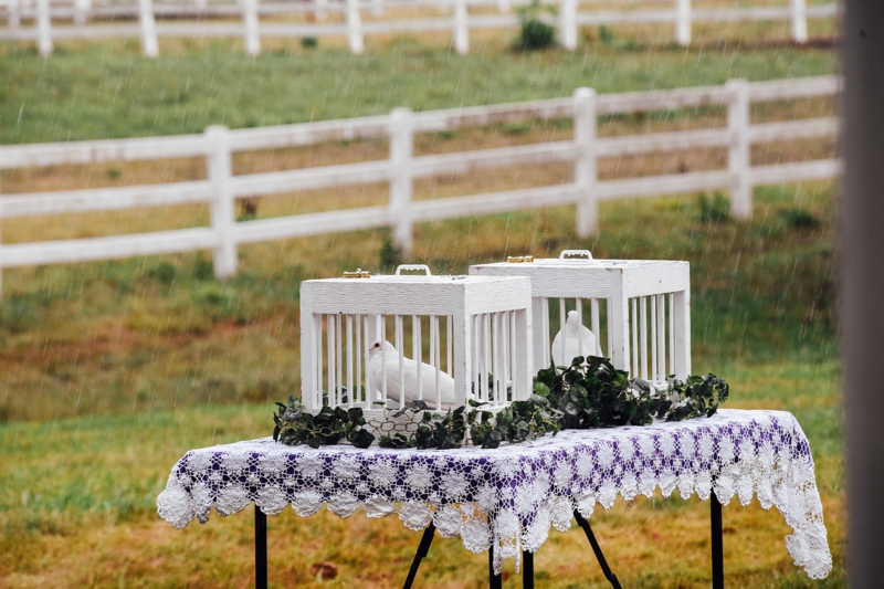 janejonwedding 77